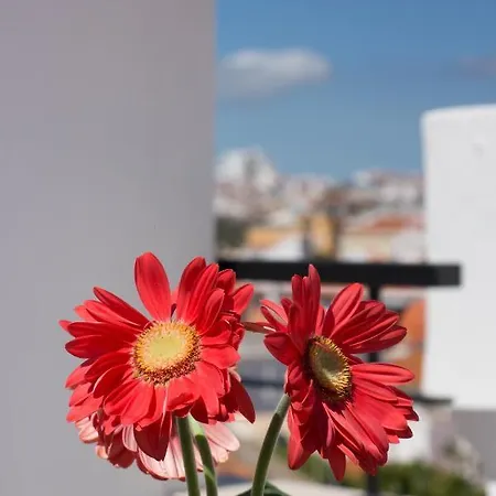 Almas ベッド・アンド・ブレックファスト 3*